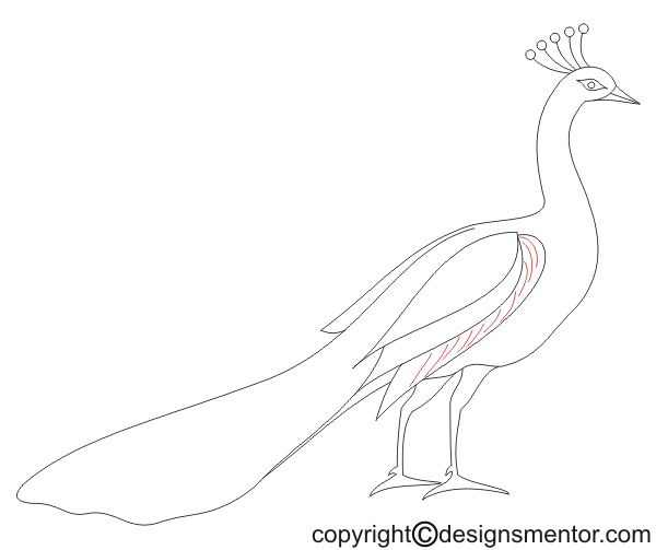 600x503 How To Draw A Peacock Easy Slowly Step By Step For Kids