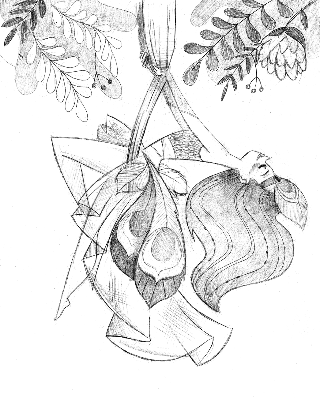 Peacock Sketch Drawing