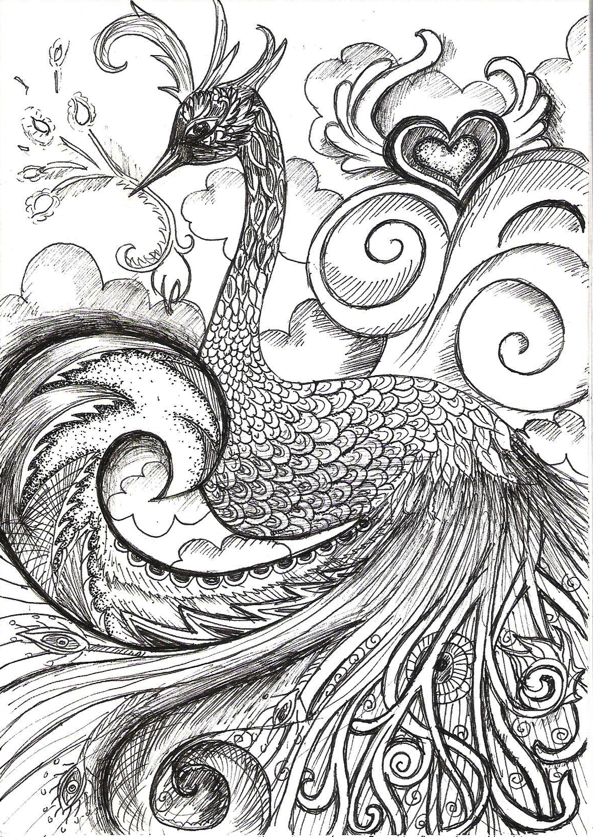 1171x1653 Peacock Black And White Sketches Peacock Black And White Art