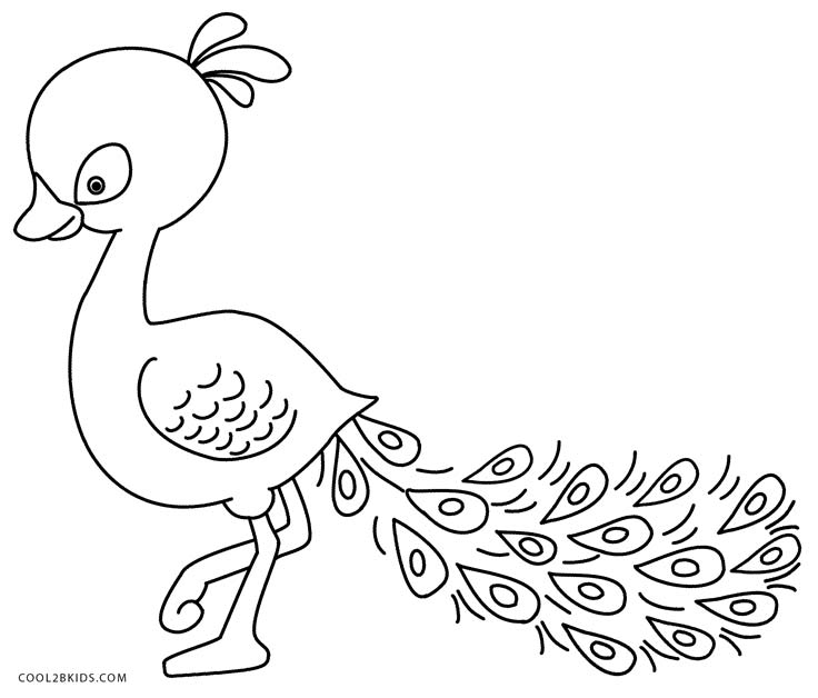 736x628 Printable Peacock Coloring Pages For Kids Cool2bkids