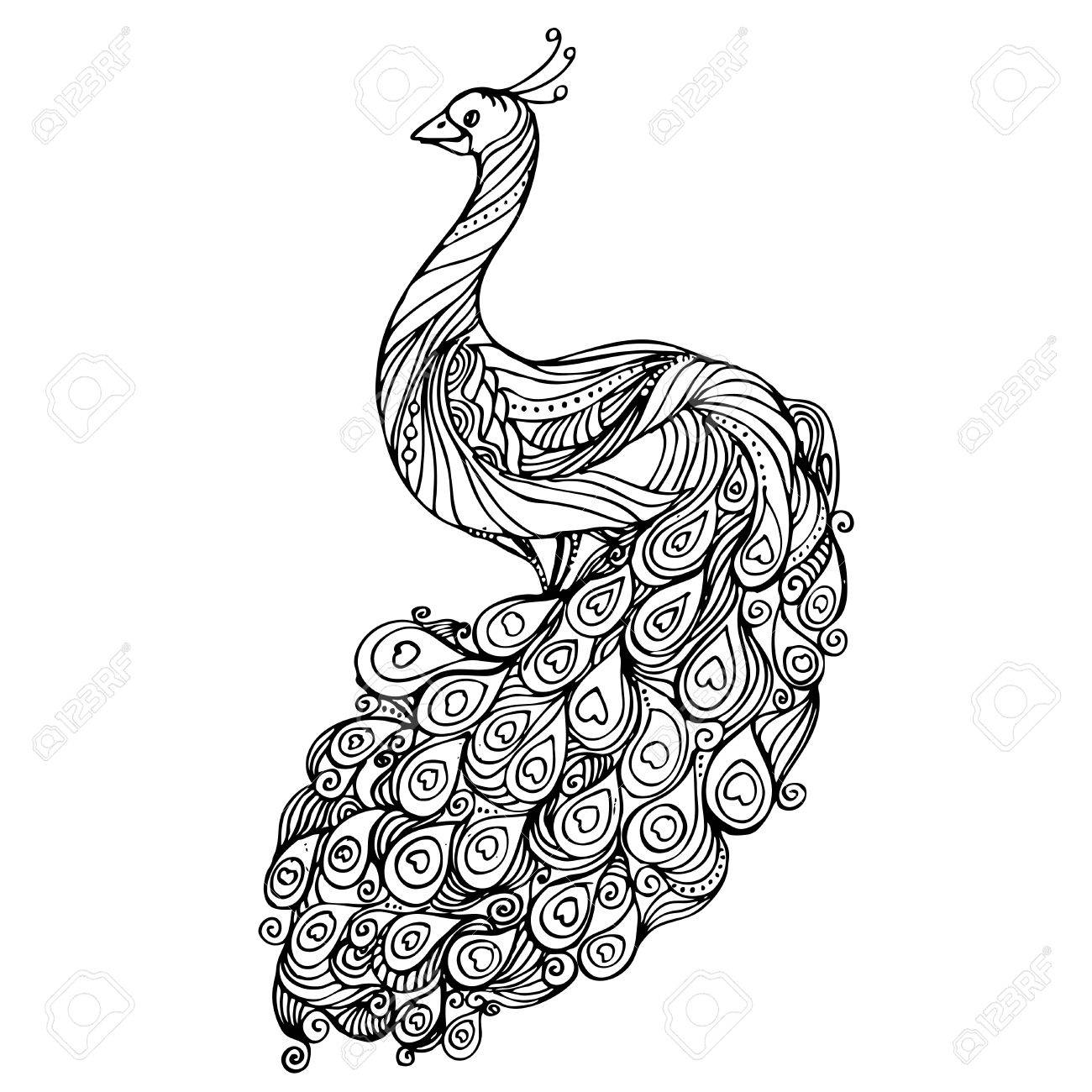 1300x1300 Vintage Pattern Black And White Doodle Peacock. Design. Sketch