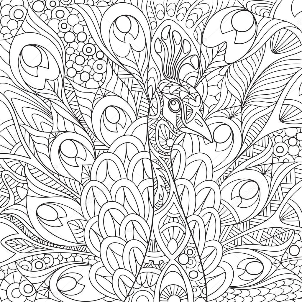1024x1024 Zentangle Stylized Peacock Stock Vector Sybirko