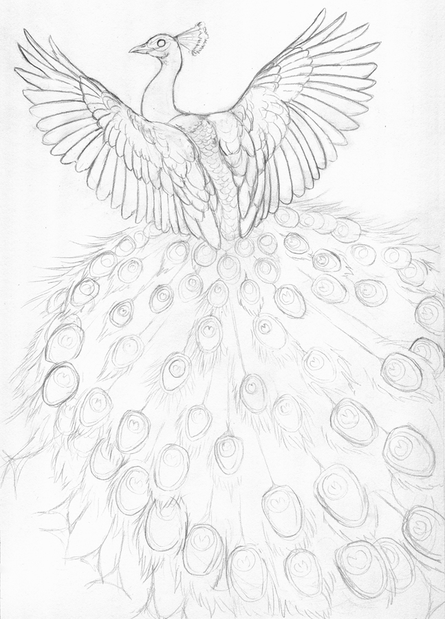 647x900 Featherseeds April 2012