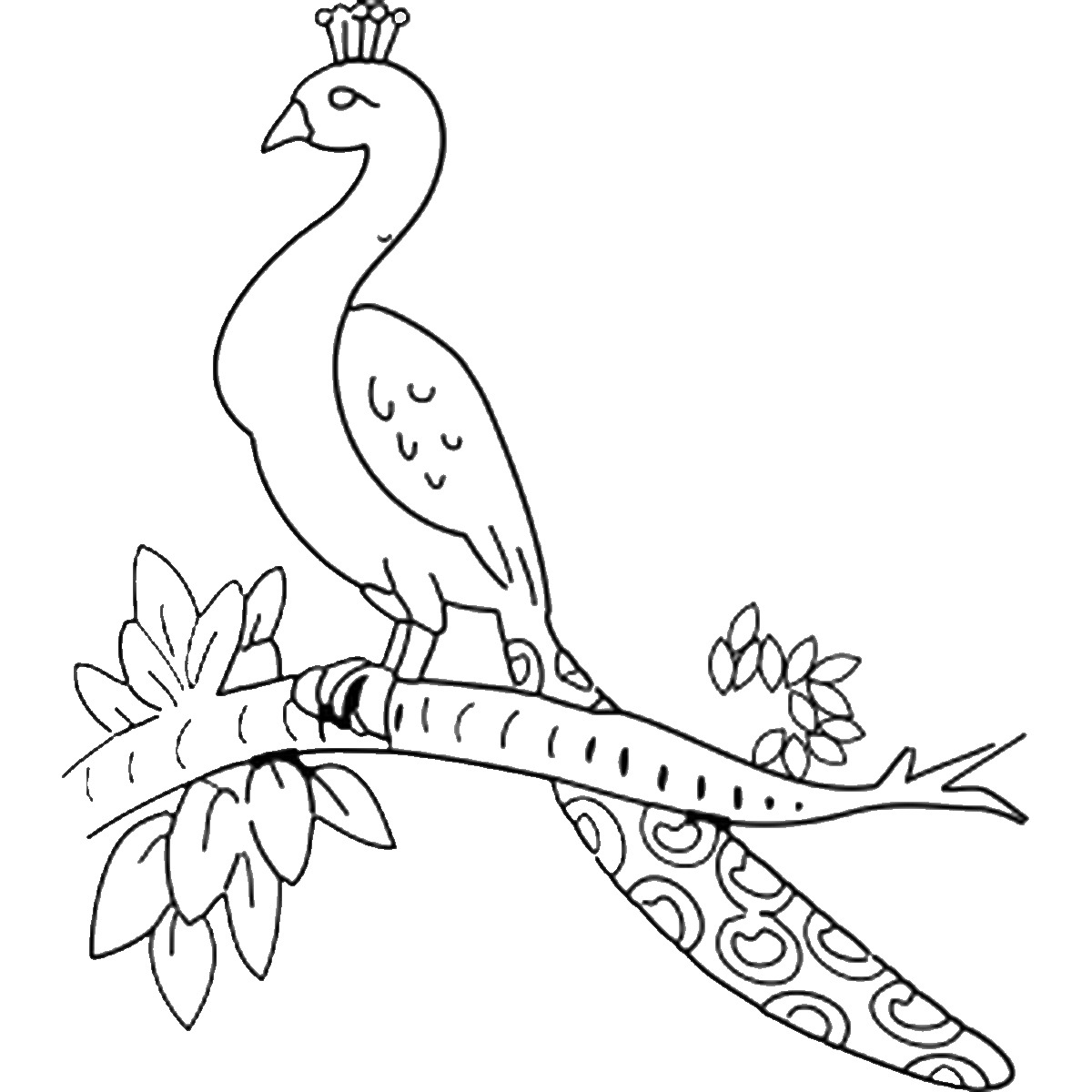 1200x1200 Peacock Coloring Pages