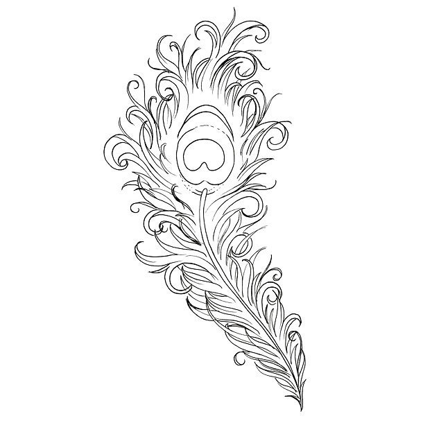 610x610 Peacock Feather Tattoo Meaning