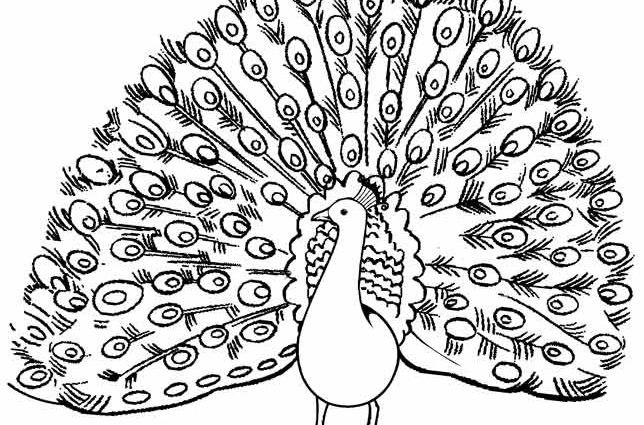 644x425 Peacock Coloring Pages Printable Peacock Coloring Pages For Kids