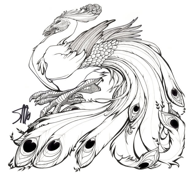 639x583 Peacock Feather