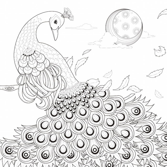 700x700 Peacock Feather Tattoo