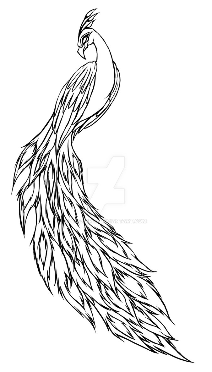 675x1184 Peacock Tattoo By Oceanred