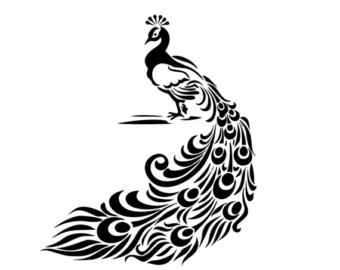 340x270 Peacock Stencil Etsy
