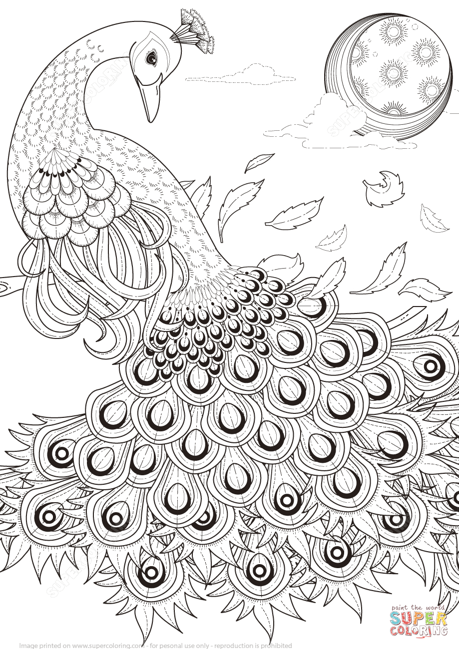 919x1300 Graceful Peacock Coloring Page Free Printable Coloring Pages