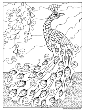 300x388 Peacock Coloring Pages To Print