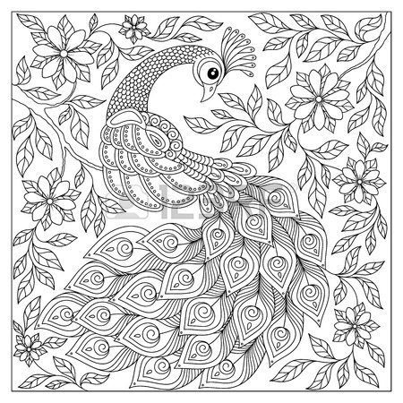 450x450 Peacock Design Stock Photos. Royalty Free Business Images