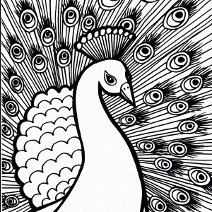 300x300 Pics Of Peacock Feather Outline Coloring Page N Drawing Outline Adult