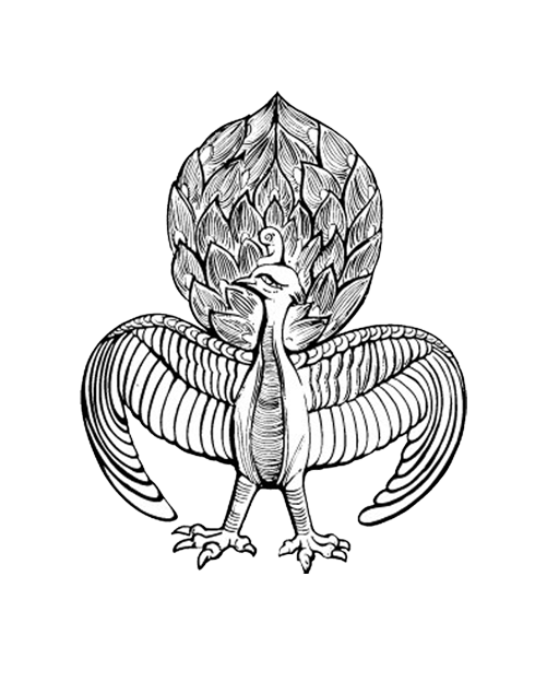 501x624 Fenghuang County Visual Arts Peafowl