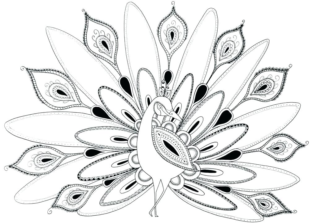 1024x725 Peacock Coloring Pages Peacock Coloring Pages For Kids Peacock