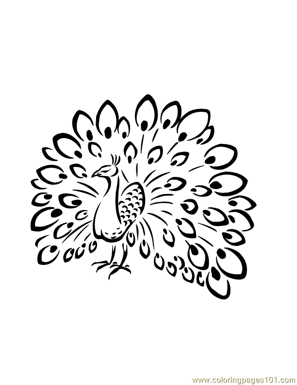 612x792 Peafowl Coloring Page