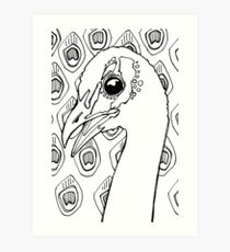 210x230 Peafowl Drawing Art Prints Redbubble