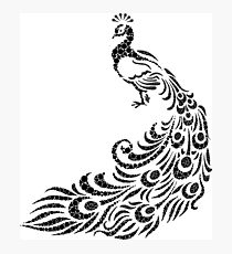 210x230 Peafowl Drawing Photographic Prints Redbubble