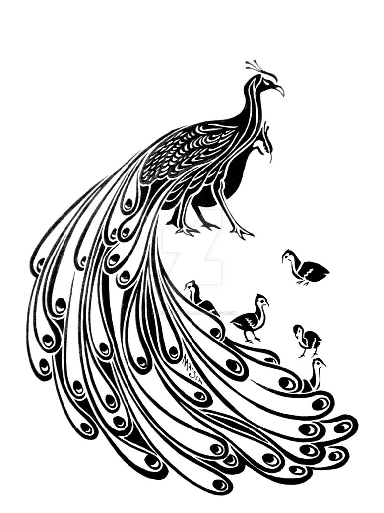 774x1032 Peafowl By Paintsmudger