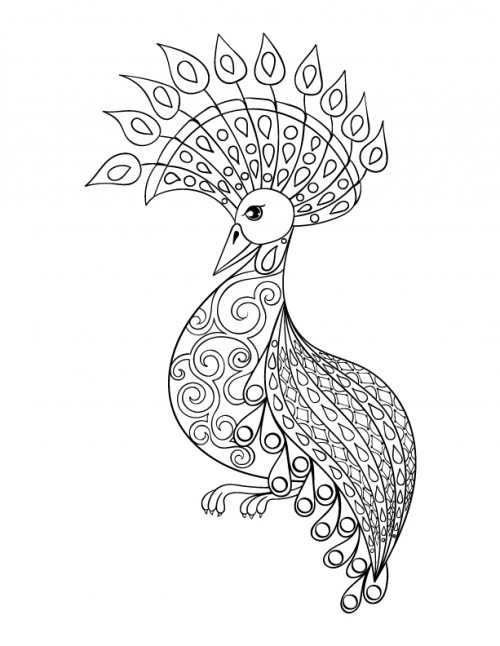 500x646 Animal Coloring Pages Archives