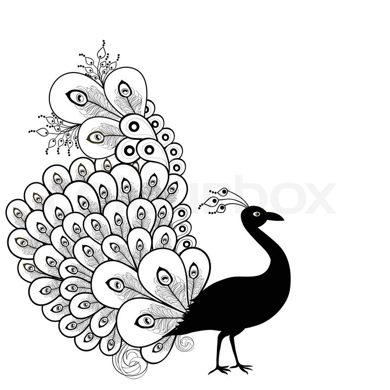 800x800 Card With Abstract Beautiful Peacock In Black And White Stock