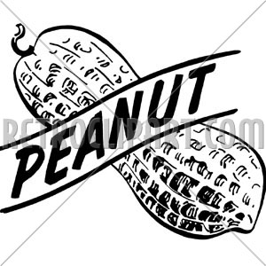 300x300 Peanut,