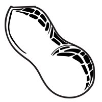 200x200 Peanut Icons Noun Project