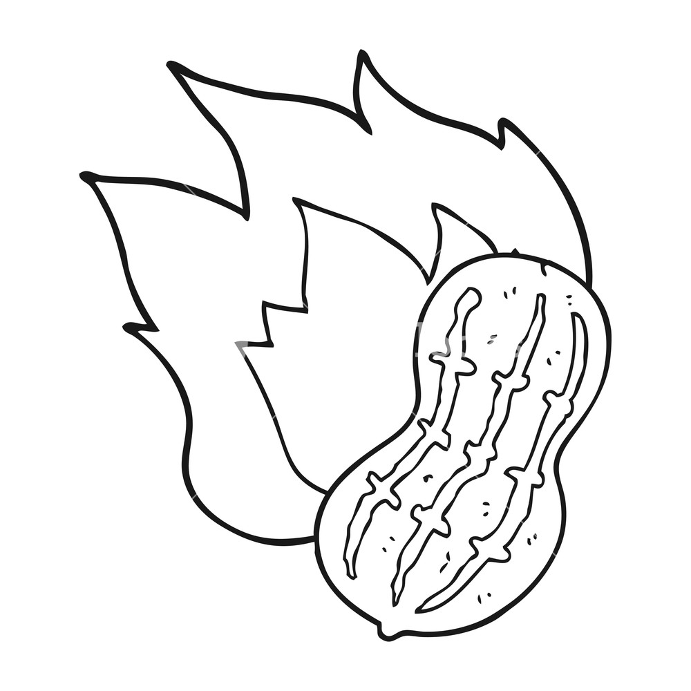 1000x1000 Freehand Drawn Black And White Cartoon Cooking Peanut Royalty Free