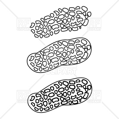 400x400 Peanut Icon Royalty Free Vector Clip Art Image