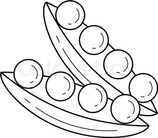 320x280 Vector Hand Drawn Peapod Outline Doodle Icon. Food Sketch