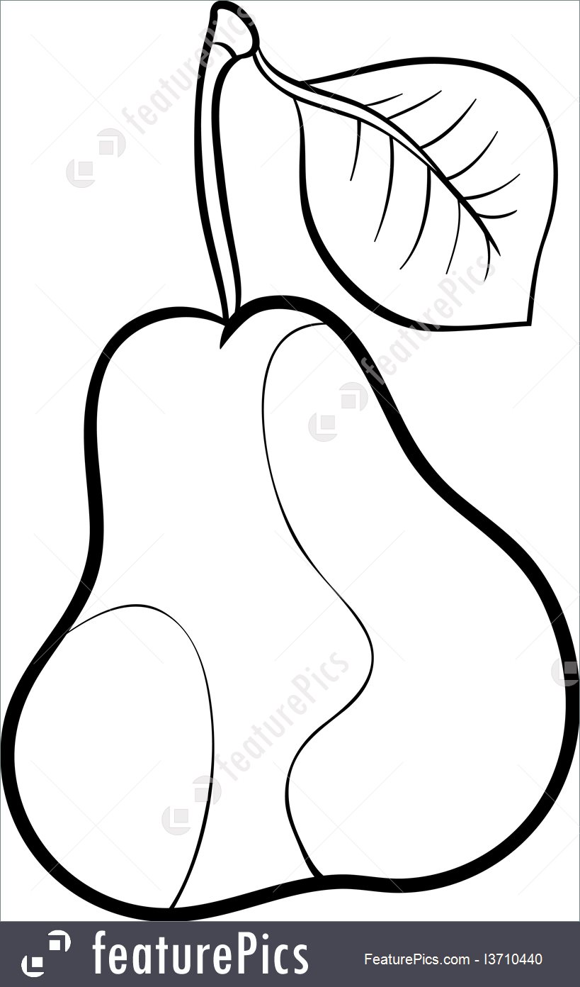 819x1392 Pear Fruit For Coloring Book Illustration