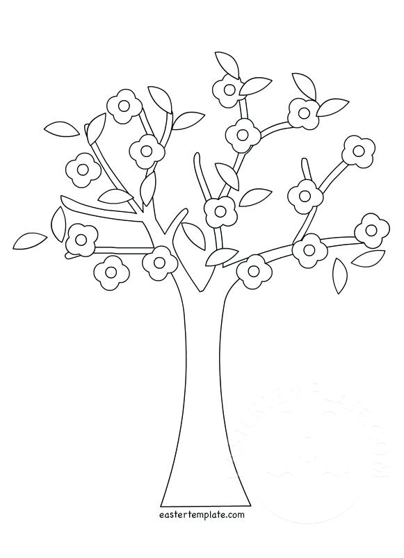 581x803 Coloring Trees Pear Tree Coloring Page Pine Tree Coloring Pages