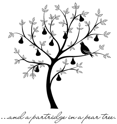 500x529 Partridge In A Pear Tree