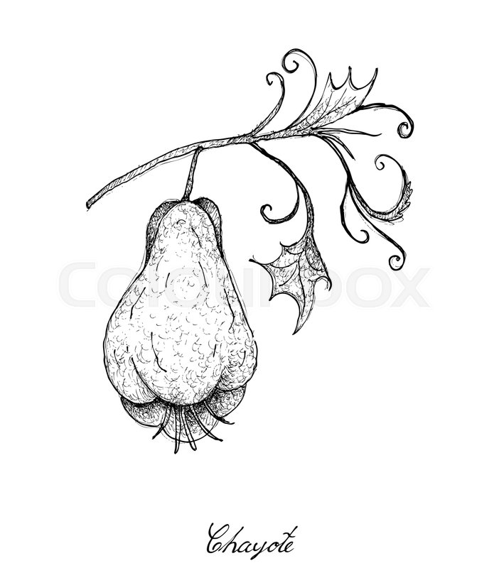 702x800 Vegetable, An Illustration Of Hand Drawn Sketch Delicious Fresh