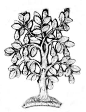 284x371 Worcestershire Regiment (29th36th Of Foot)