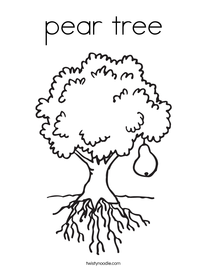 685x886 Pear Tree Coloring Page
