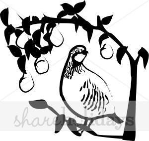 300x283 Black And White Partridge In A Pear Tree Clipart Winter Wildlife