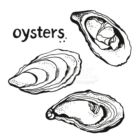 440x440 Oyster And Pearl Sketch
