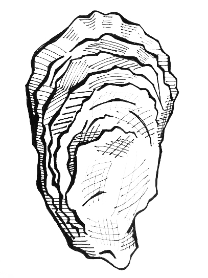 407x543 Oyster Coloring Pages