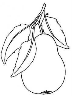 236x316 Line Drawing Posters, Line Drawing Prints