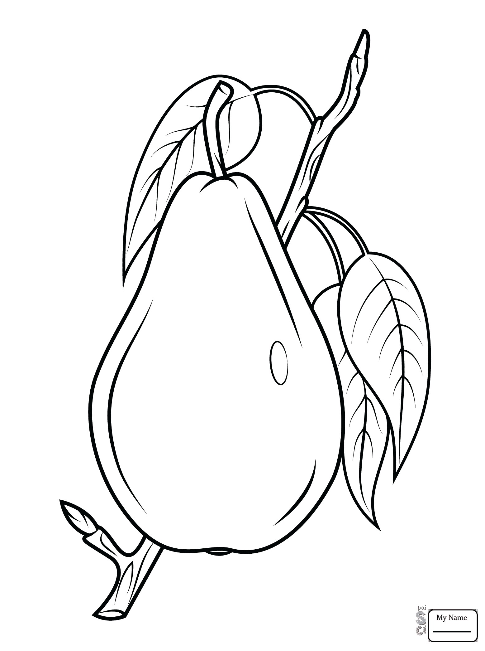 1557x2087 Pear Fruits Coloring Pages For Kids New Pears Coloring Pages