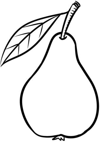 339x480 Pear Coloring Page Free Printable Coloring Pages