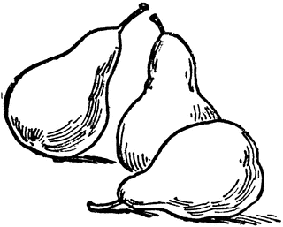 320x257 Three Pears Clipart Etc
