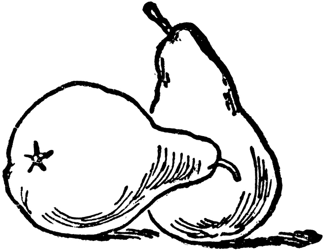 640x496 Two Pears Clipart Etc