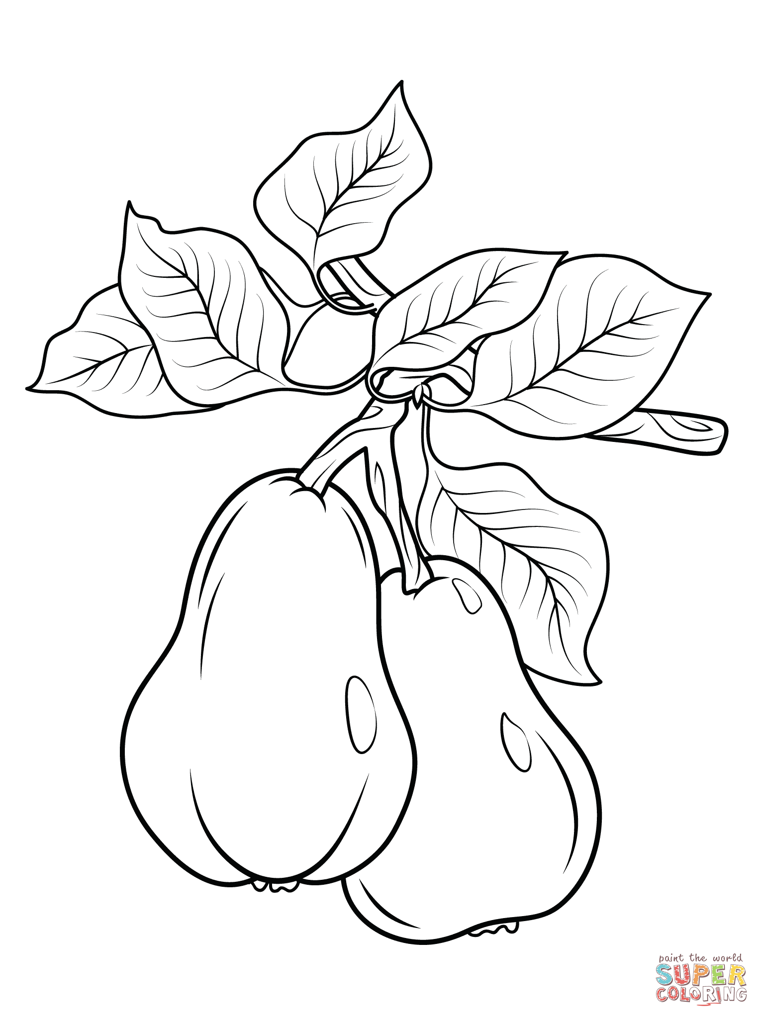 1526x2046 Two Pears On Branch Coloring Page Free Printable Coloring Pages
