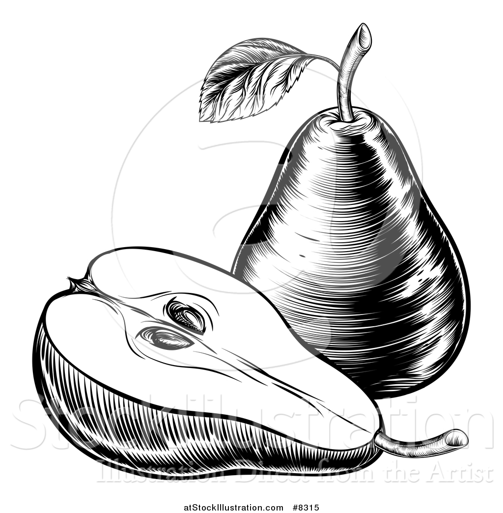 1024x1044 Vector Illustration Of A Black And White Vintage Woodcut