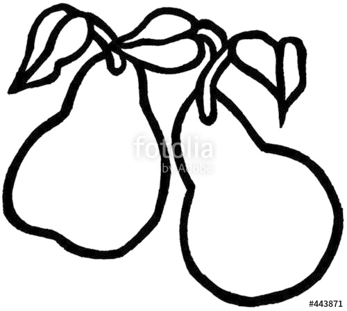 500x447 A Pair Of Pears Stock Photo And Royalty Free Images On Fotolia