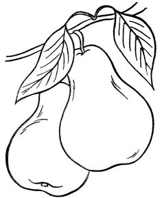 236x288 Drawn Pear Outline