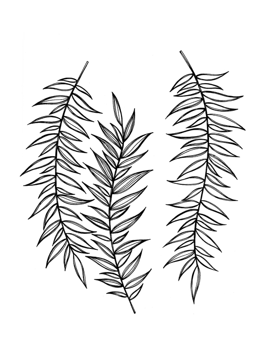 530x707 Black And White Pebble Design For Pebbles And Rocks Rocks